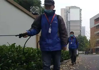 校园虫害防治，禾幸在行动