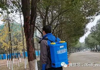 学校园林白蚁防治，禾幸坚持防治结合 综合治理的原则